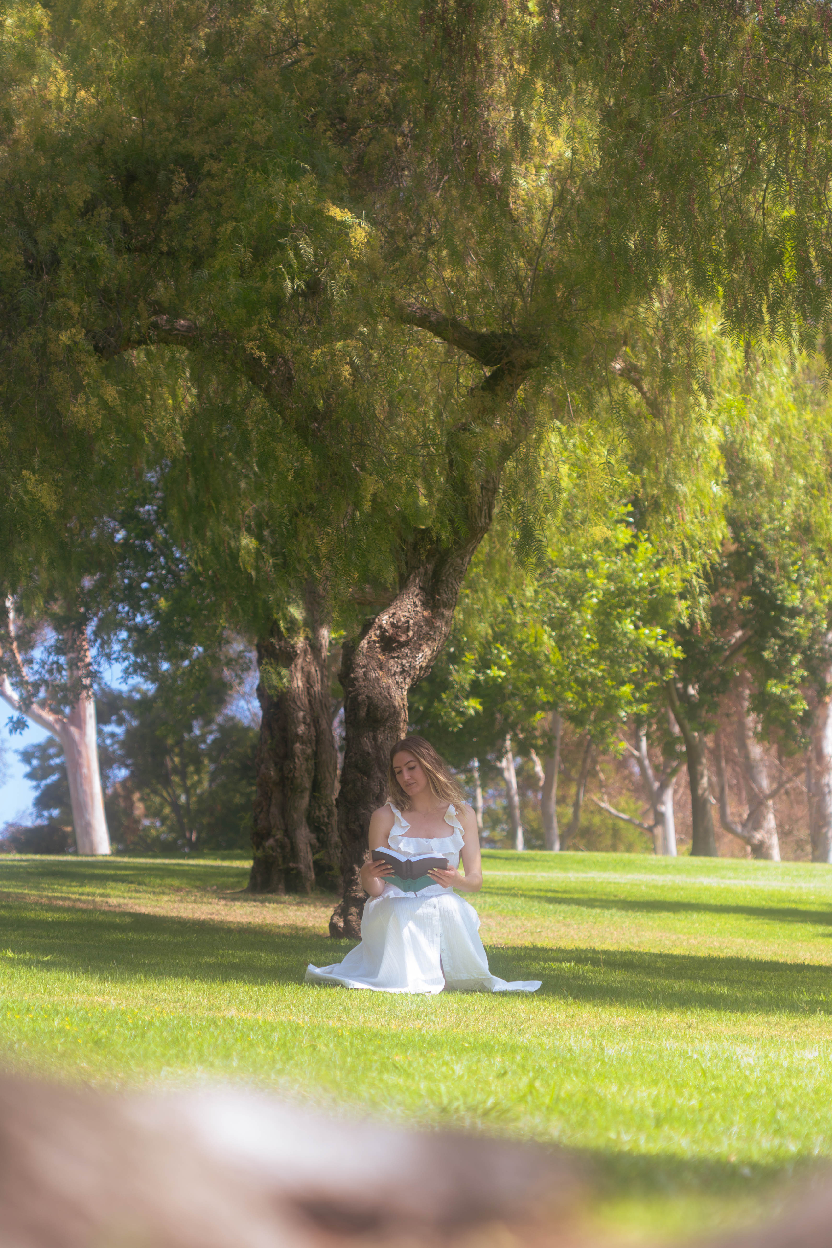 A woman sitting in a lush green forest, reading a Bible, reflecting on healing and freedom from an abusive relationship.